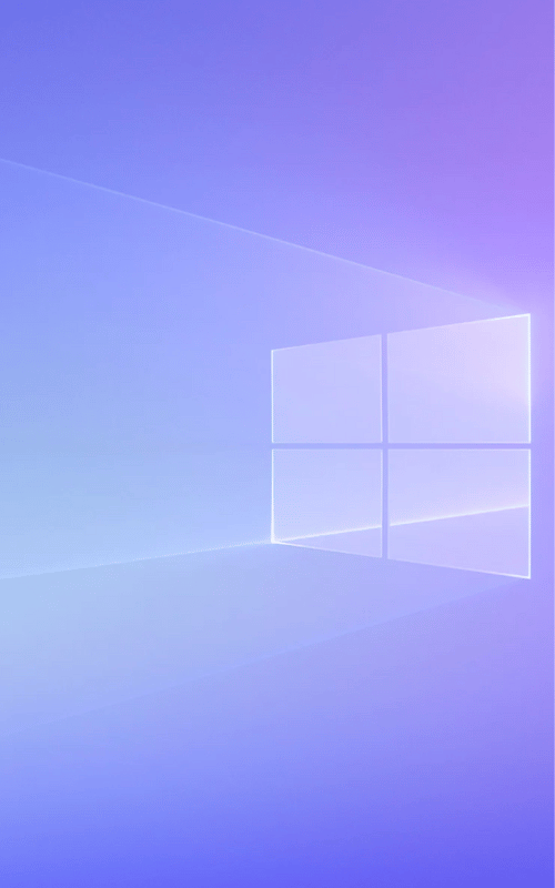Windows & Office